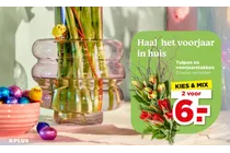 tulpen en voorjaarstakken