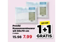 kussenvernieuwer