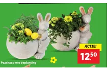paashaas met beplanting
