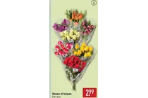 rozen of tulpen