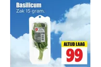 basilicum