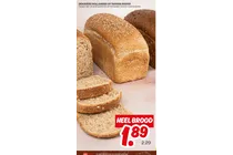 dekavvers hollander of tarpan brood