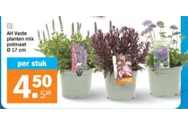 vaste planten mix