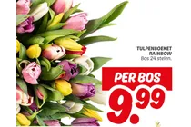 tulpenboeket rainbow