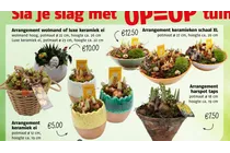 arrangement keramieken schaal xl