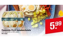 feestelijk plus saladeschotels