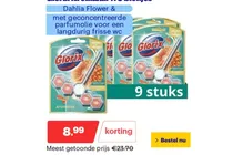 toiletblok glorix dahlia flower