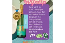 cava brut