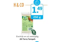 ah terra tempeh