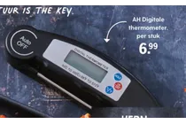 digitale thermometer