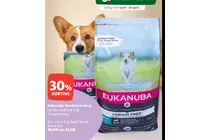 eukanuba adult small breed kip
