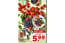 aardbeien of blauwe bessen