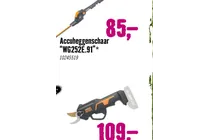 accusnoeischaar