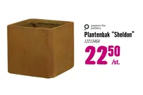 plantenbak sheldon