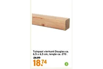 tuinpaal vierkant douglas