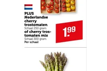 nederlandse cherry trostomaten