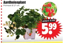 aardbeienplant
