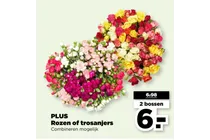 rozen of trosanjers