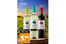 gato negro cabernet sauvignon