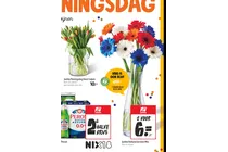 koningsdag feest tulpen