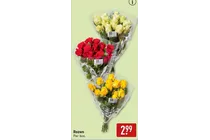 rozen