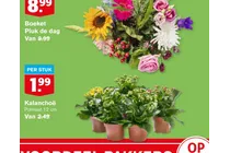boeket pluk de dag