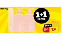 shampoo
