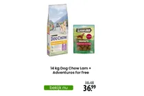 dog chow lam