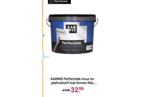 perfectdek muur en plafondverf
