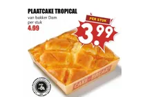 plaatcake tropical