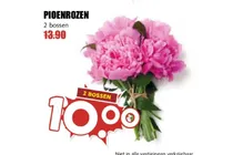 pioenrozen