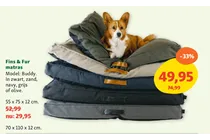 buddy matras