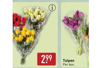 tulpen