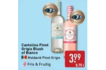 cantolino pinot grigio blush