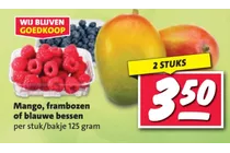 blauwe bessen