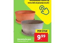 keramische pot