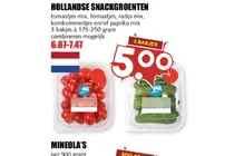 hollandse snackgroenten