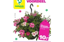 perkgoed in hangpot