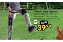 poogi pogotick
