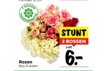 rozen