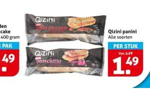 qizini panini pollo piccante