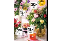 pluk springboeket