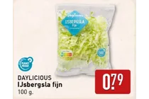 ijsbergsla fijn