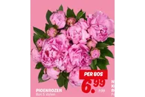 pioenrozen