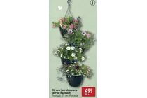 xl voorjaarsbloeiers terras hangpot