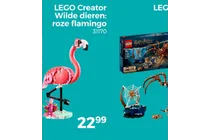 roze flamingo