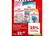 kittenvoeding