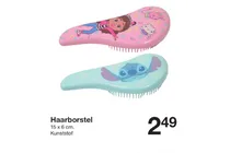 haarborstel
