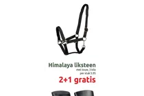 himalaya liksteen met touw