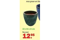 bloempot